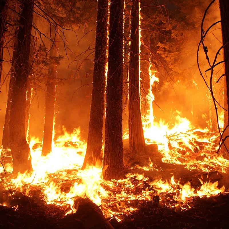 wildfire insurance inspection